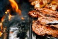 Food meat - chicken and beef on party summer barbecue grill Royalty Free Stock Photo