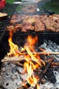 Food meat - chicken and beef on party summer barbecue grill Royalty Free Stock Photo