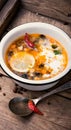 Solyanka traditional Russian soup Royalty Free Stock Photo