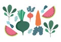 Food nature fresh diet carrot onion radish watermelon and leaves