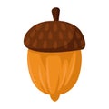 Food nut acorn