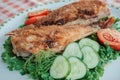 Food photo. Appetizing fried fish with vegetable