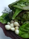 Food photo, green lettuce and purple Basil close up Royalty Free Stock Photo