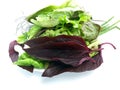 Food photo, green lettuce and purple Basil close up Royalty Free Stock Photo