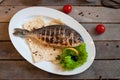 Food photo grilled fish trout