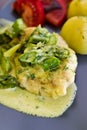 Food photography: chicken breast meat with asparagus and cream sauce