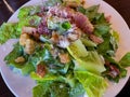 Food photography, fresh salad with crouton. Royalty Free Stock Photo