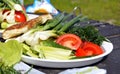 Food at a picnic. Fresh vegetables and grilled meat