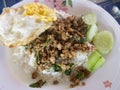 Food pork basil stir fry with fried eggs and white rice Royalty Free Stock Photo