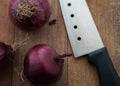 Food preparation, cooking concept: fresh raw red onions, knife on a rustic wooden cutting board background Royalty Free Stock Photo