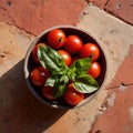 Food preparation, fresh vegetarian ingredients for italian meal