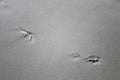 Foot Print in the Sand on a Beach