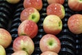 Food Processing Machinery for Postharvest Handling of Apples