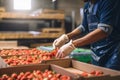 food producer, packaging freshly harvested produce for retail sale