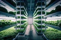 food production facility, with large-scale hydroponic growing system and modern technology