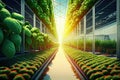 food production facility, with rows of crops growing in indoor greenhouse