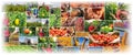 Food Production - Farming - Agriculture Collage Royalty Free Stock Photo