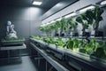 food production in futuristic society, with high-tech farming equipment and robotics