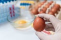 Food quality control concept. Scientist is holdinh egg in laboratory.