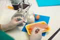 Food quality control expert inspecting at meat specimen