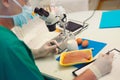 Food quality control expert inspecting at meat specimen