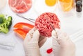 Food quality control in the laboratory Royalty Free Stock Photo