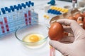 Food quality testing concept. Scientist is holding egg in hand in laboratory. Royalty Free Stock Photo