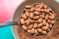 Food - red bean grains. Royalty Free Stock Photo