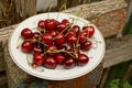 Food from red ripe cherries in a white plate on a gray concrete post Royalty Free Stock Photo