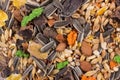 Food for rodents. Healthy food background, texture. Food of dry compound for hamsters, rats, chinchillas, mice, squirrels.