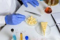 Food saferty Expert inspecting cheese in quality control laboratory Royalty Free Stock Photo