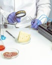 Food safety inspector working in laboratory. Healthy food concept. Royalty Free Stock Photo