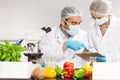Food scientists using the microscope for research Royalty Free Stock Photo