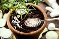 Food scraps used as compost, eggshell as plant root vitamin