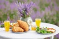 Food served for two on table in lavender field. Royalty Free Stock Photo