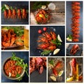 Food set collage of various pictures of crayfish crawfish. Boiled ready-to-eat crayfish and jar of beer on various background