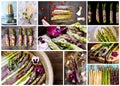 Food set collage of various pictures of white green purple asparagus. healthy vegetarian dieting food. Copy space