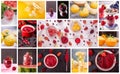 Food set colorful collage of various pictures of kind of sort berry and fruit sorbet ice cream