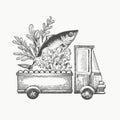 Food shop delivery logo template. Hand drawn vector truck with vegetables and fish illustration. Engraved style retro food design Royalty Free Stock Photo