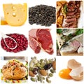 Food Sources of Protein