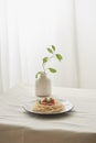 Food, spaghetti bolognese sauce in white dish and a vase of plants on a white prepared table Royalty Free Stock Photo