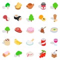 Food on the street icons set, isometric style Royalty Free Stock Photo