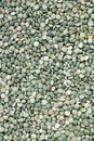 Texture from many dry green peases grains top view closeup Royalty Free Stock Photo