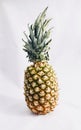 Food tasty ingredient pineapple Royalty Free Stock Photo