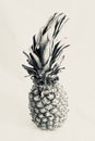 Food tasty ingredient pineapple Royalty Free Stock Photo