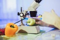 Food testing in the laboratory. GMO food. Royalty Free Stock Photo