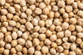 Food texture. Dried chickpeas