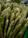 Asparagus vegetable Ã Â¸Â«Ã Â¸â¢Ã Â¹ËÃ Â¸Â­Ã Â¹âÃ Â¸Â¡Ã Â¹â°Ã Â¸ÂÃ Â¸Â£Ã Â¸Â±Ã Â¹ËÃ Â¸â¡