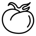 Food tomato icon, outline style