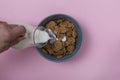 Food, top, bowl, cashew, nuts, addition, antioxidant, breakfast Royalty Free Stock Photo